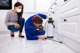 Emergency Pest Control Services in Pleasant View, UT